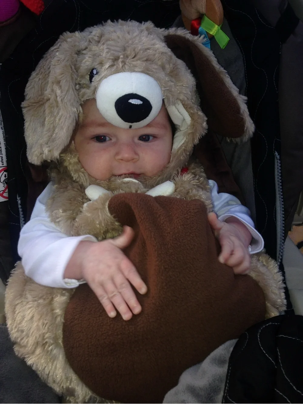 The Children's Place Plush Puppy Costume Hoodie in Beige and Brown